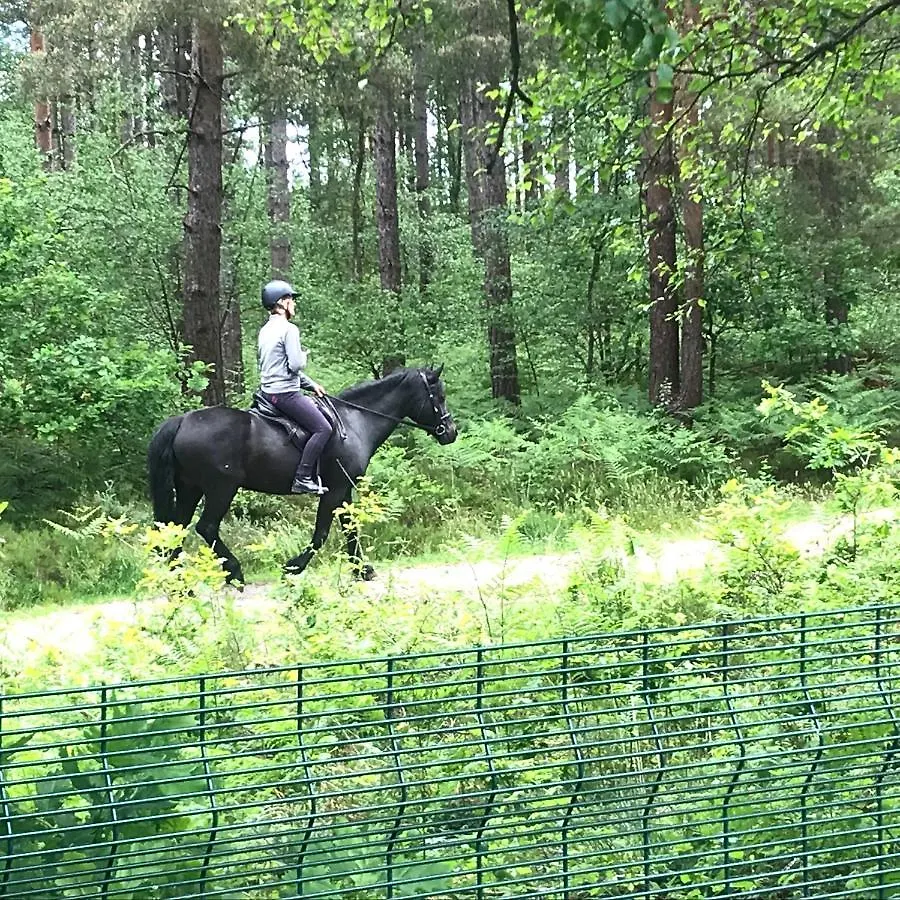 Forest View At Oakdene Forest Park - Leisure Passes Included! Ringwood Holiday home