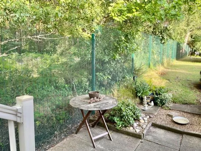 Forest View At Oakdene Forest Park - Leisure Passes Included! Ringwood 0*,  United Kingdom