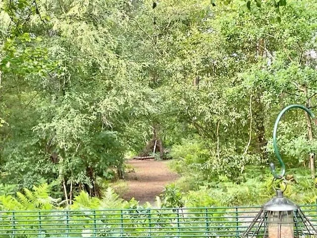 Forest View At Oakdene Forest Park - Leisure Passes Included! Ringwood Holiday home