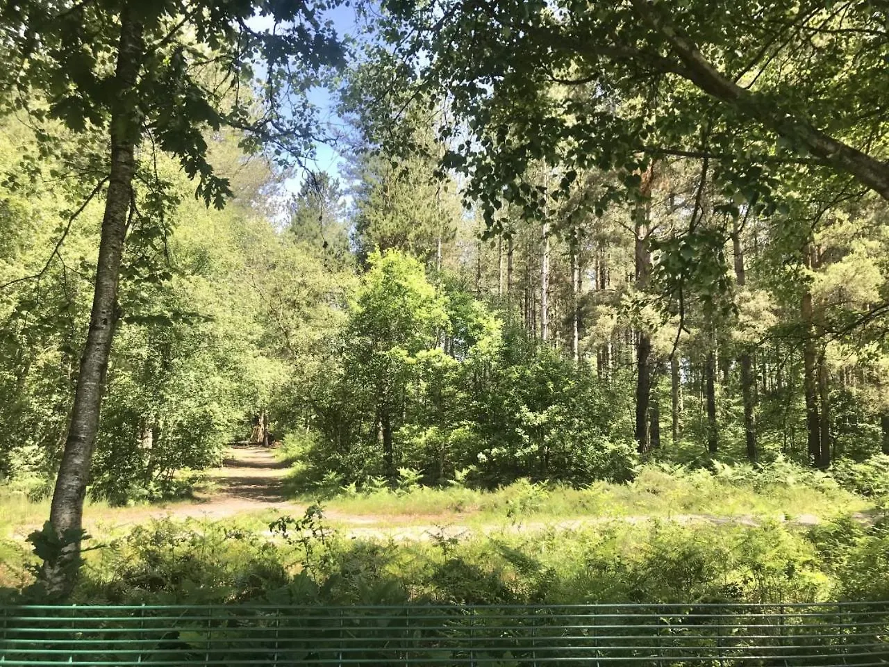 Vakantiehuis Forest View At Oakdene Forest Park - Leisure Passes Included! Ringwood